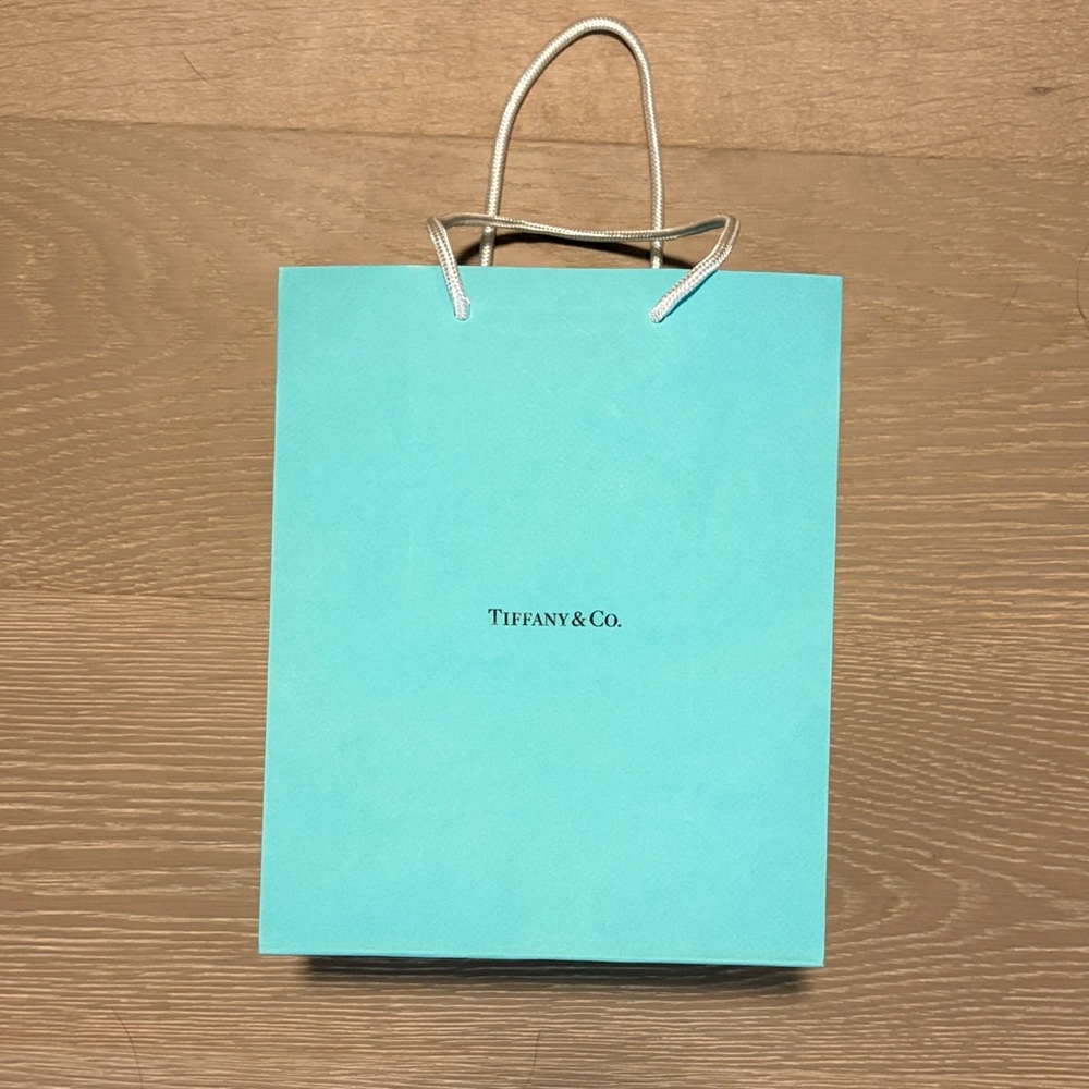 Tiffany & Co. Turquoise Gift Bag